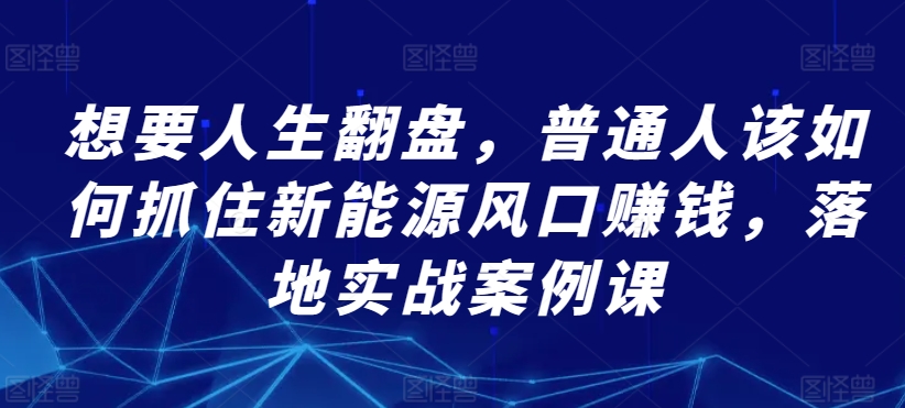 想要人生翻盘，普通人该如何抓住新能源风口赚钱，落地实战案例课-乌龙学社