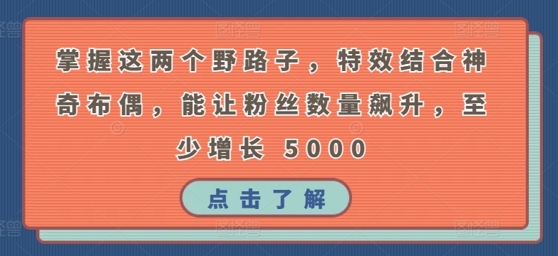 掌握这两个野路子，特效结合神奇布偶，能让粉丝数量飙升，至少增长 5000【揭秘】-乌龙学社