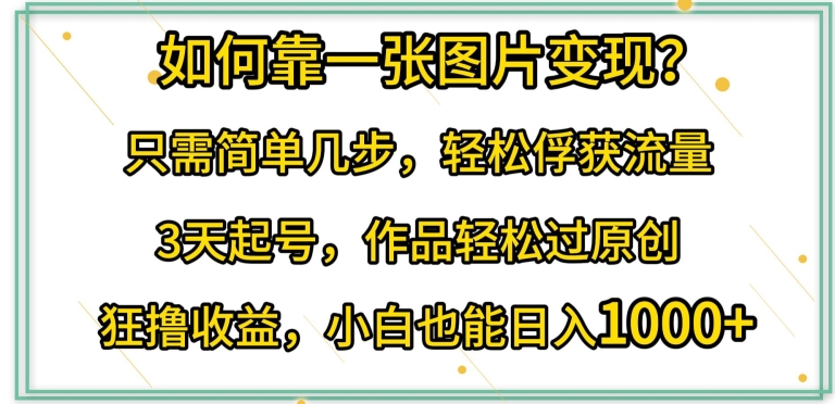 如何靠一张图片变现?只需简单几步，轻松俘获流量，3天起号，作品轻松过原创【揭秘】-乌龙学社