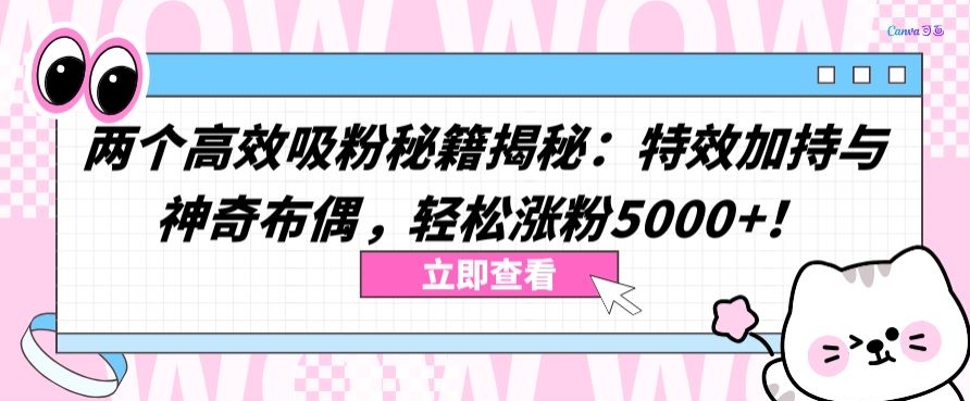 两个高效吸粉秘籍揭秘：特效加持与神奇布偶，轻松涨粉5000+【揭秘】-乌龙学社