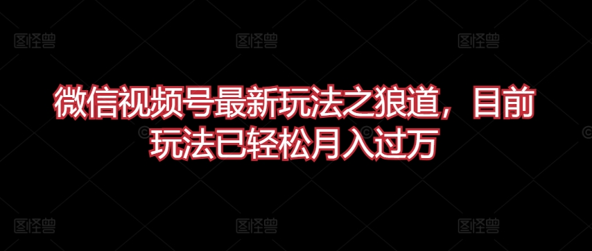 微信视频号最新玩法之狼道，目前玩法已轻松月入过万【揭秘】-乌龙学社