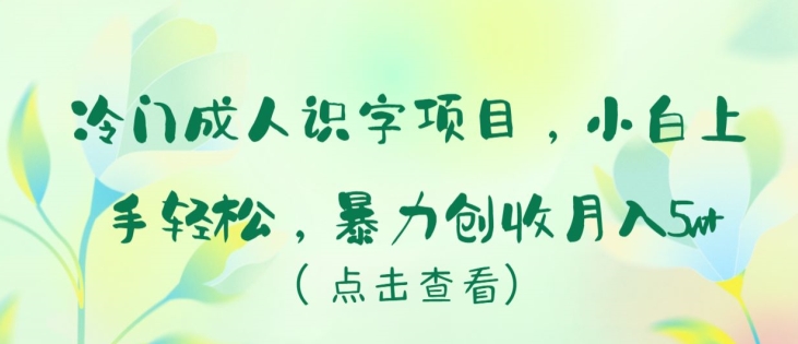 冷门成人识字项目，小白上手轻松，暴力创收月入5w+【揭秘】-乌龙学社