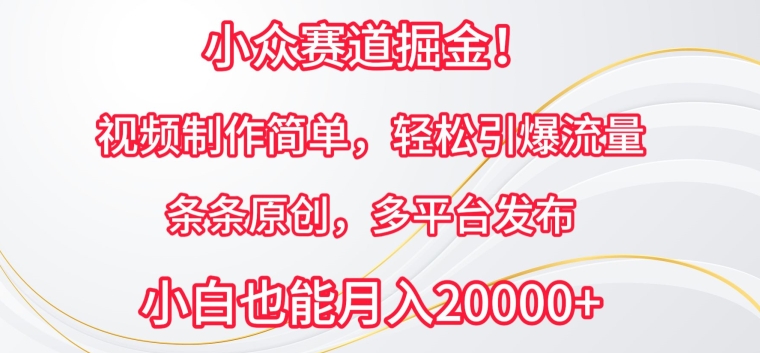 小众赛道掘金，视频制作简单，轻松引爆流量，条条原创，多平台发布【揭秘】-乌龙学社