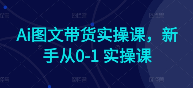 Ai图文带货实操课，新手从0-1 实操课-乌龙学社