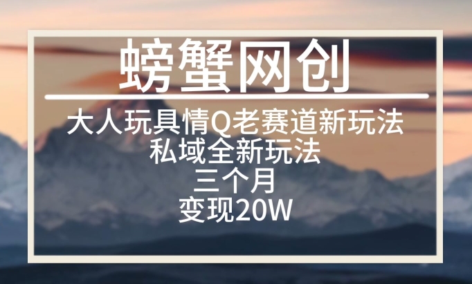 大人玩具情Q用品赛道私域全新玩法，三个月变现20W，老项目新思路【揭秘】-乌龙学社