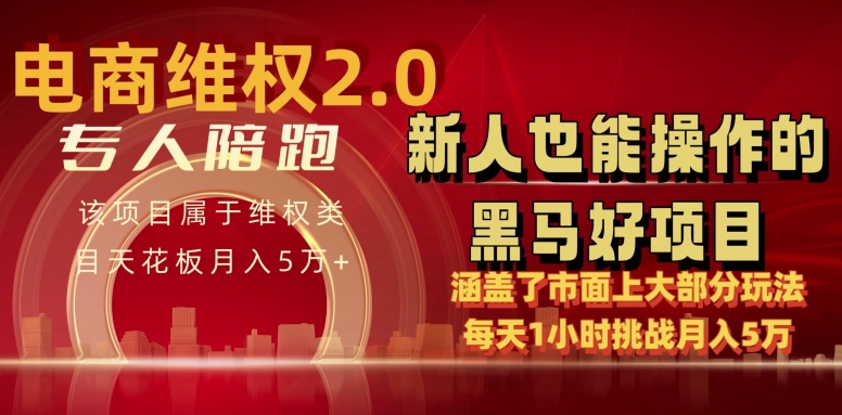 电商维权 4.0 如何做到月入 5 万+每天 1 小时新人也能快速上手【仅揭秘】-乌龙学社