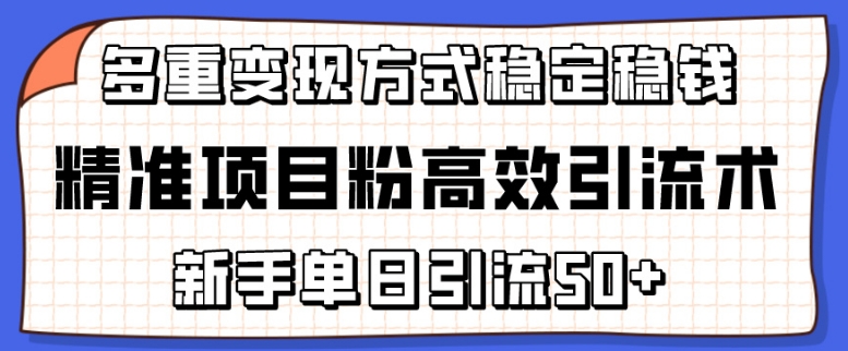 精准项目粉高效引流术，新手单日引流50+，多重变现方式稳定赚钱【揭秘】-乌龙学社