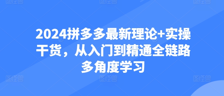 2024拼多多最新理论+实操干货，从入门到精通全链路多角度学习-乌龙学社