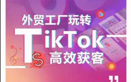 外贸工厂玩转TikTok高效获客，多种引流方式与账号定位技巧，拆解爆款短视频打造成功案例-乌龙学社