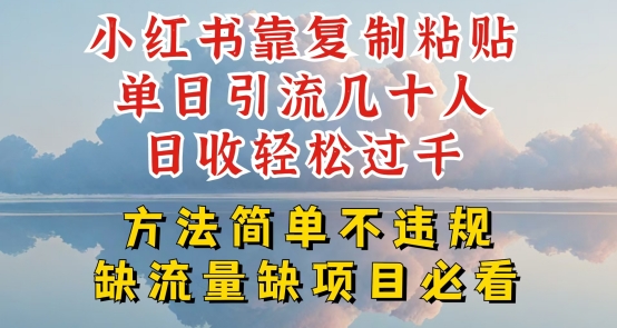 小红书靠复制粘贴单日引流几十人目收轻松过千，方法简单不违规【揭秘】-乌龙学社