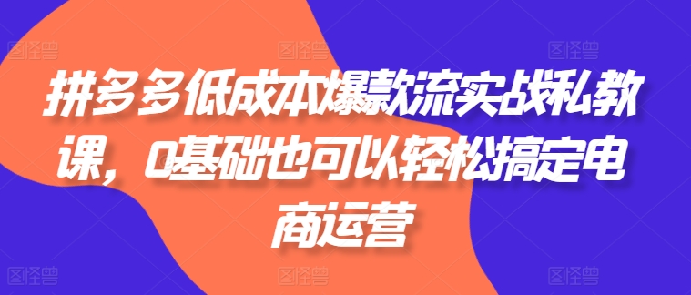 拼多多低成本爆款流实战私教课，0基础也可以轻松搞定电商运营-乌龙学社
