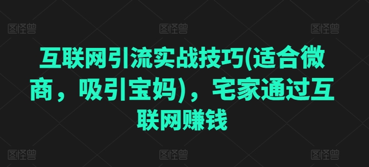 互联网引流实战技巧(适合微商，吸引宝妈)，宅家通过互联网赚钱-乌龙学社
