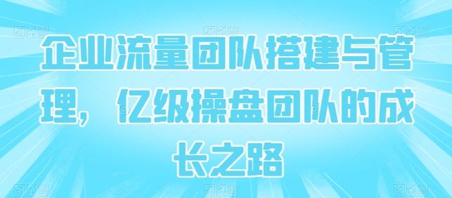 企业流量团队搭建与管理，亿级操盘团队的成长之路-乌龙学社