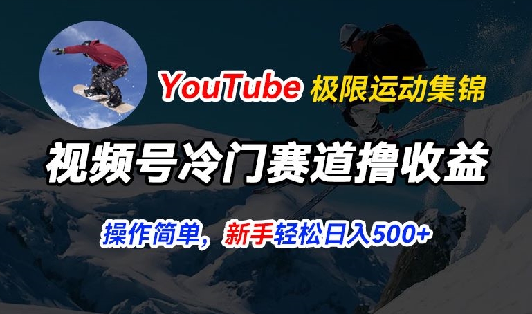 视频号冷门赛道撸收益，YouTube搬运极限运动集锦，暴力起号，操作简单流量高，轻松日入5张【揭秘】-乌龙学社