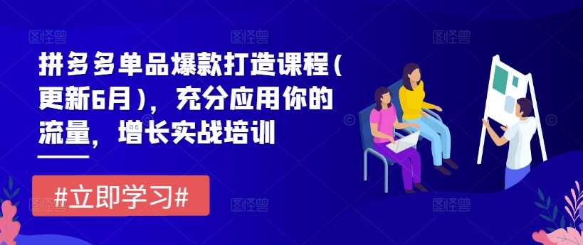 拼多多单品爆款打造课程(更新6月)，充分应用你的流量，增长实战培训-乌龙学社