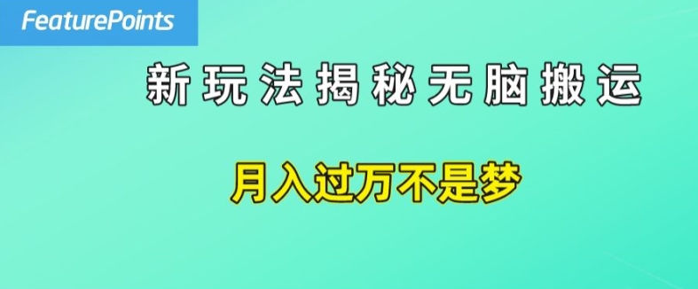 简单操作，每天50美元收入，搬运就是赚钱的秘诀【揭秘】-乌龙学社