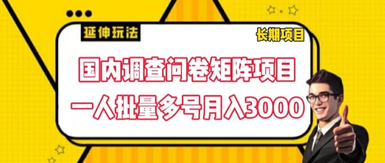 国内调查问卷矩阵项目，一人批量多号月入3000【揭秘】-乌龙学社