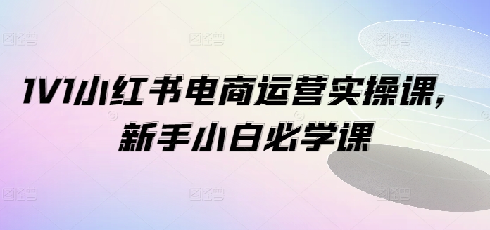 1V1小红书电商运营实操课，新手小白必学课-乌龙学社
