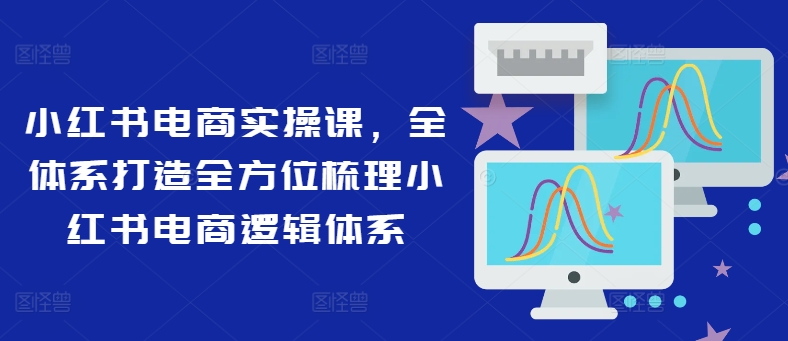 小红书电商实操课，全体系打造全方位梳理小红书电商逻辑体系-乌龙学社
