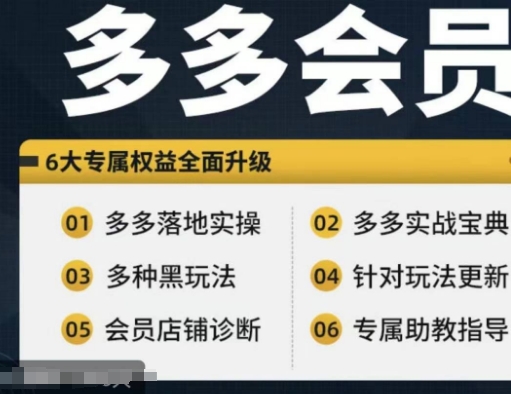 拼多多会员，拼多多实战宝典+实战落地实操，从新手到高阶内容全面覆盖-乌龙学社