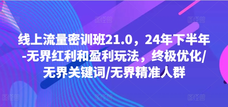 线上流量密训班21.0，24年下半年-无界红利和盈利玩法，终极优化/无界关键词/无界精准人群-乌龙学社