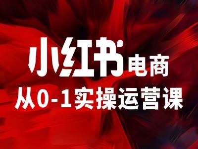 小红书电商从0-1实操运营课，让你从小白到精英-乌龙学社