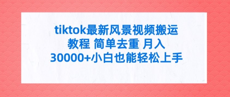 tiktok最新风景视频搬运教程 简单去重 月入3W+小白也能轻松上手【揭秘】-乌龙学社