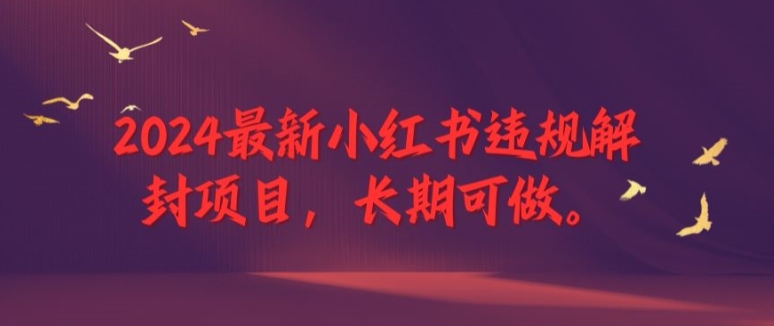 2024最新小红书违规解封项目，长期可做，一个可以做到退休的项目【揭秘】-乌龙学社