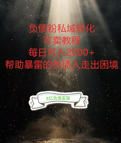 负债粉掘金计划，帮助负债者解决问题，债务规划，债务重组，最好的变现方式【揭秘】-乌龙学社