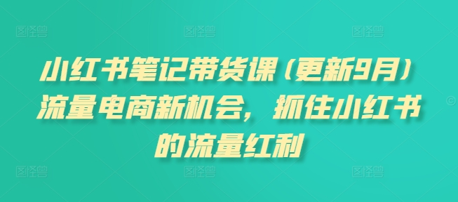 小红书笔记带货课(更新9月)流量电商新机会，抓住小红书的流量红利-乌龙学社