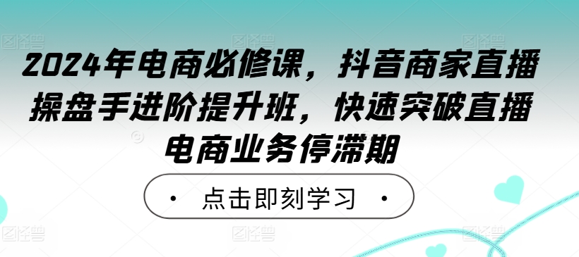 2024年电商必修课，抖音商家直播操盘手进阶提升班，快速突破直播电商业务停滞期-乌龙学社