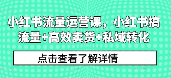 小红书流量运营课，小红书搞流量+高效卖货+私域转化-乌龙学社