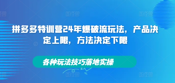 拼多多特训营24年爆破流玩法，产品决定上限，方法决定下限，各种玩法技巧落地实操-乌龙学社