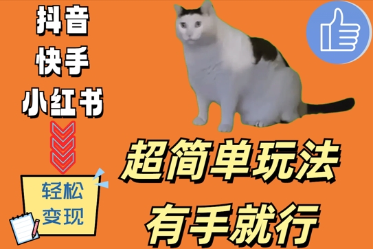 超简单玩法，有手就行，靠猫咪视频日入500+【揭秘】-乌龙学社