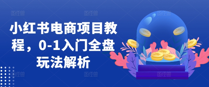 小红书电商项目教程，0-1入门全盘玩法解析-乌龙学社