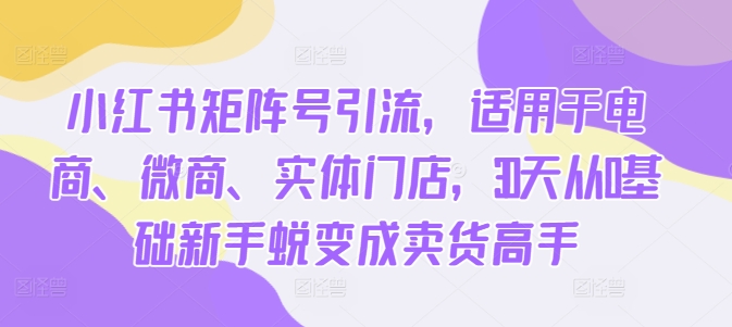 小红书矩阵号引流，适用于电商、微商、实体门店，30天从0基础新手蜕变成卖货高手-乌龙学社