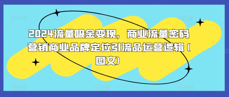 2024流量吸金变现，商业流量密码营销商业品牌定位引流品运营逻辑(图文)-乌龙学社