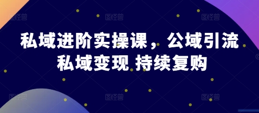 私域进阶实操课，公域引流 私域变现 持续复购-乌龙学社