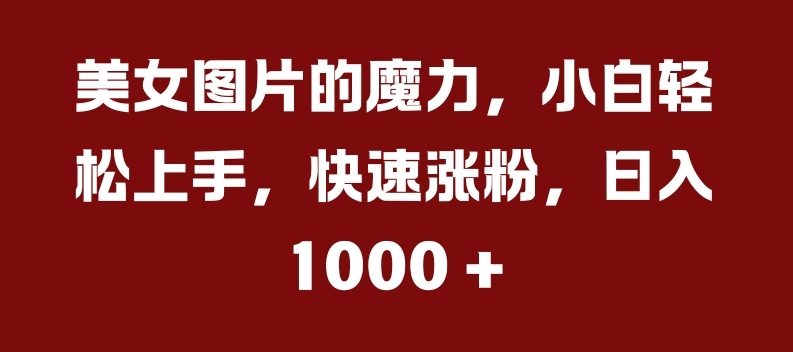 美女图片的魔力，小白轻松上手，快速涨粉，日入几张【揭秘】-乌龙学社