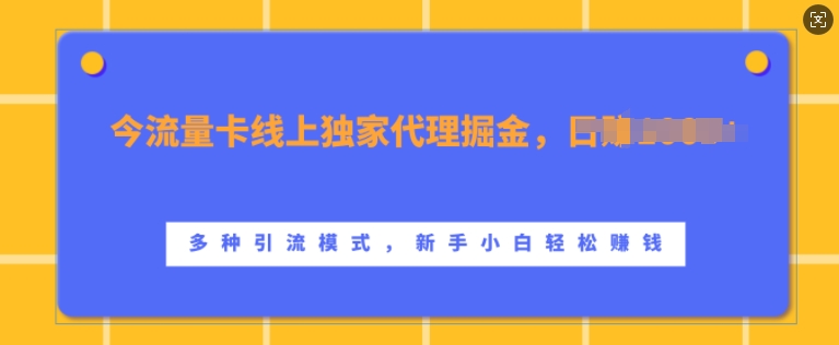 流量卡线上独家代理掘金，日入1k+ ，多种引流模式，新手小白轻松上手【揭秘】-乌龙学社