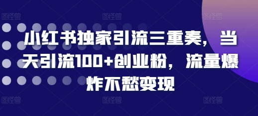 小红书独家引流三重奏，当天引流100+创业粉，流量爆炸不愁变现【揭秘】-乌龙学社