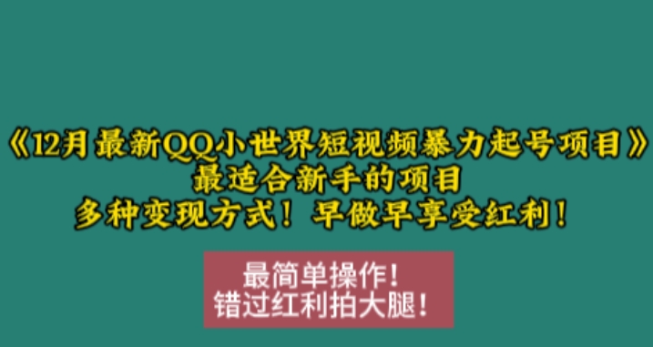 12月最新QQ小世界短视频暴力起号项目，最适合新手的项目，多种变现方式-乌龙学社