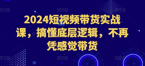 2024短视频带货实战课，搞懂底层逻辑，不再凭感觉带货-乌龙学社