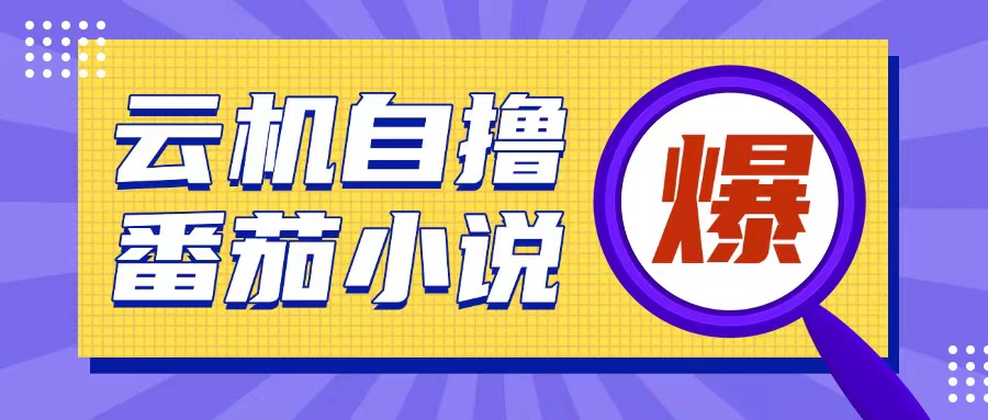 首发云手机自撸小说玩法，10块钱成本可撸200+收益操作简单【揭秘】-乌龙学社
