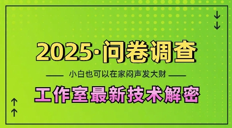 2025问卷调查最新工作室技术解密：一个人在家也可以闷声发大财，小白一天2张，可矩阵放大【揭秘】-乌龙学社