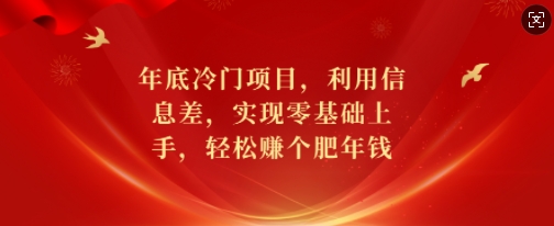 年底冷门项目，利用信息差，实现零基础上手，轻松赚个肥年钱【揭秘】-乌龙学社