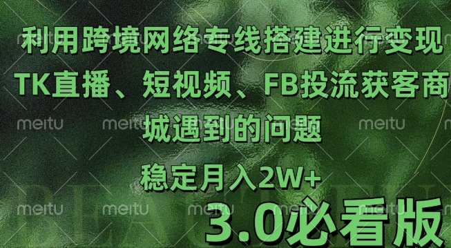 利用跨境电商网络及搭建TK直播、短视频、FB投流获客以及商城遇到的问题进行变现3.0必看版【揭秘】-乌龙学社
