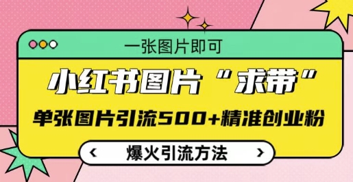 小红书图片‘求带’爆火引流法，单张图片引流500+精准创业粉【揭秘】-乌龙学社