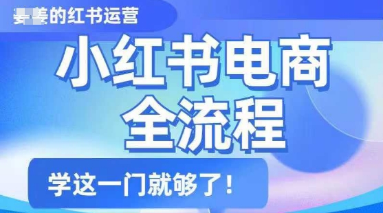 小红书电商全流程，精简易懂，从入门到精通，学这一门就够了-乌龙学社