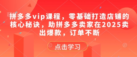 拼多多vip课程，零基础打造店铺的核心秘诀，助拼多多卖家在2025卖出爆款，订单不断-乌龙学社